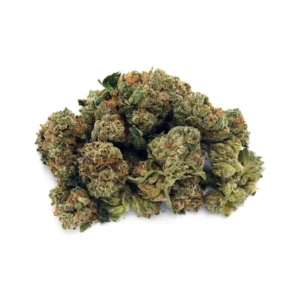 Oaksterdam OG Strain | Mini-Buds | 1/8 oz